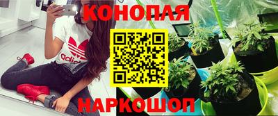 эйфоретик Мариинск